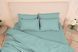 Простирадло на резинці САТИН - TM SLEEP CARE : 140x200 Зелений 112649 фото 1